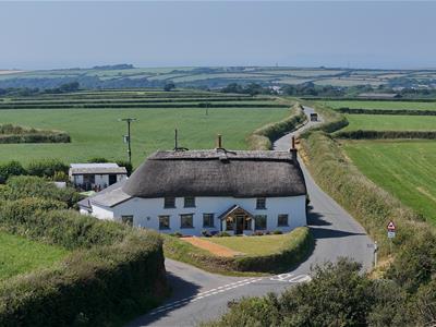 Picture 16